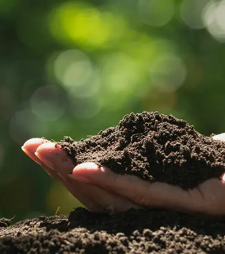 Terrastrat® – Für verbesserte Bodenstruktur und Ertrag